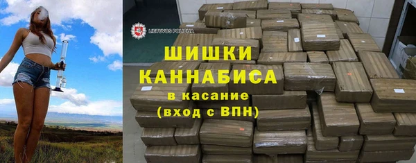 шишки Арсеньев