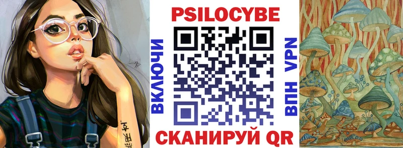 Псилоцибиновые грибы мицелий  купить наркотики цена  Городовиковск 